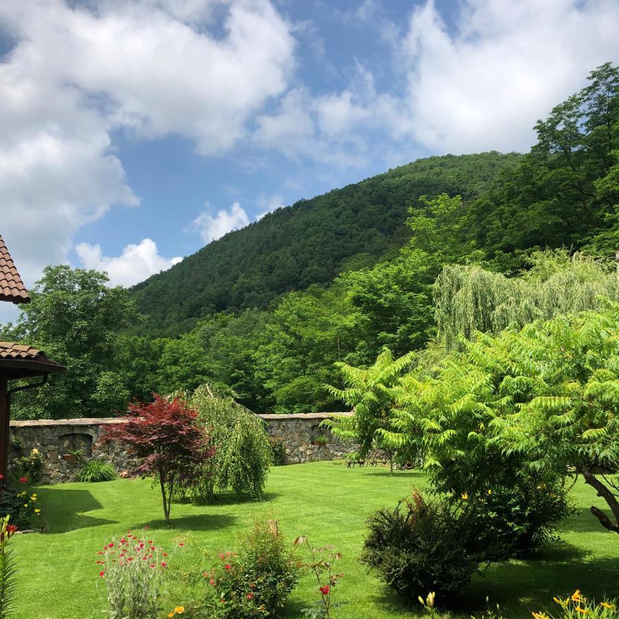 فيلا Casa De Piatra Strungari المظهر الخارجي الصورة