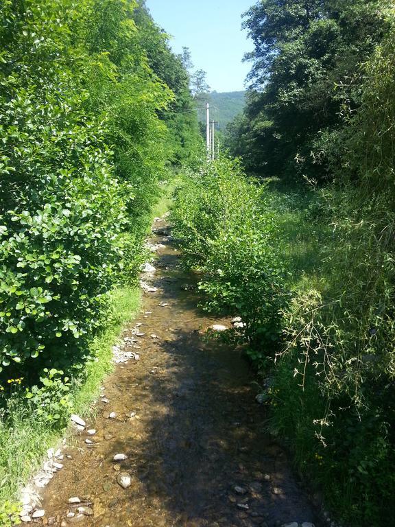 فيلا Casa De Piatra Strungari الغرفة الصورة