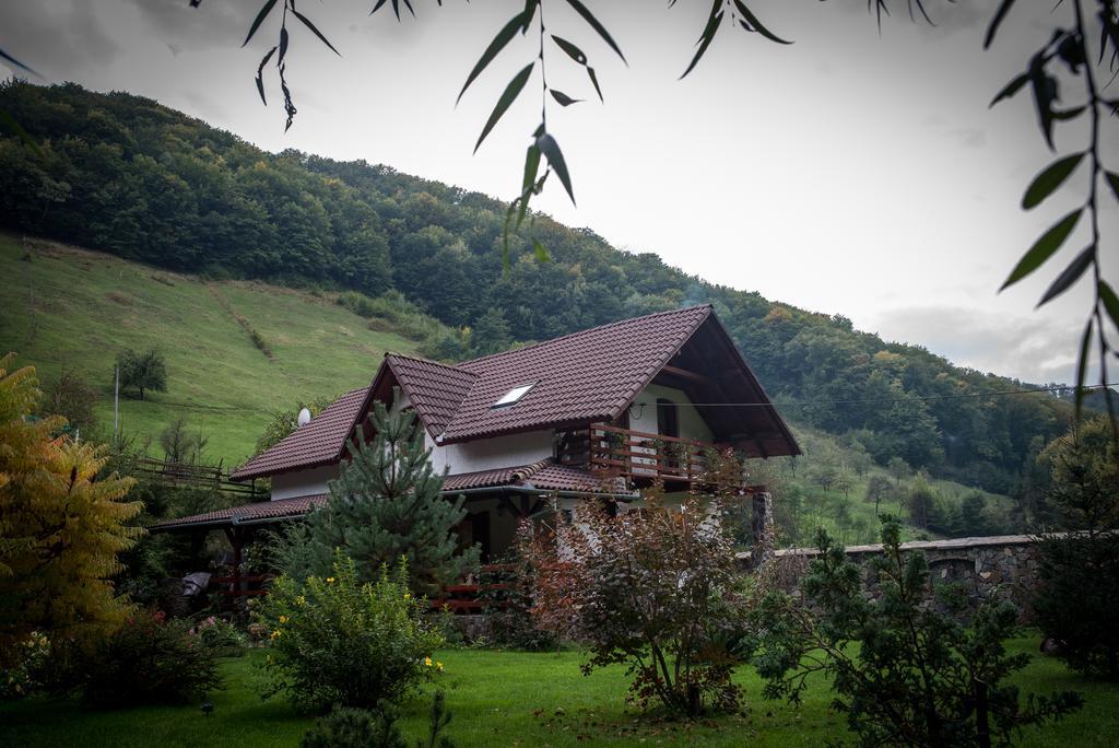 فيلا Casa De Piatra Strungari المظهر الخارجي الصورة