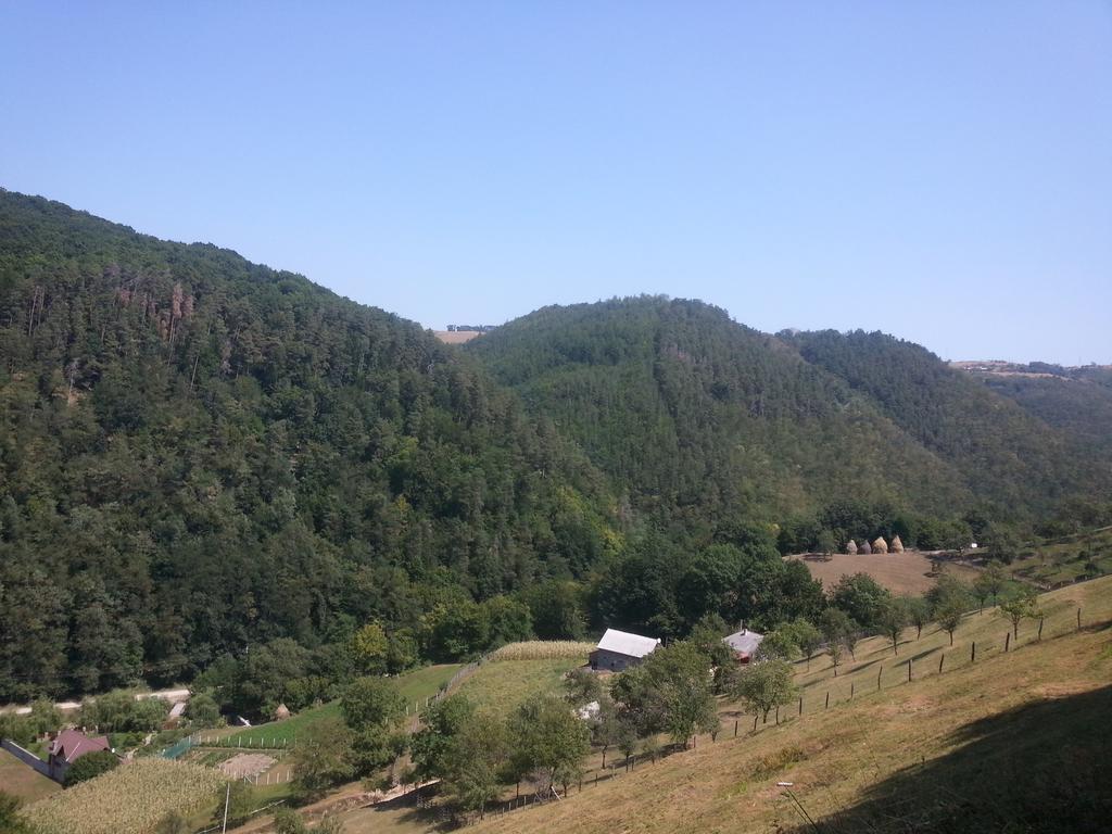 فيلا Casa De Piatra Strungari المظهر الخارجي الصورة