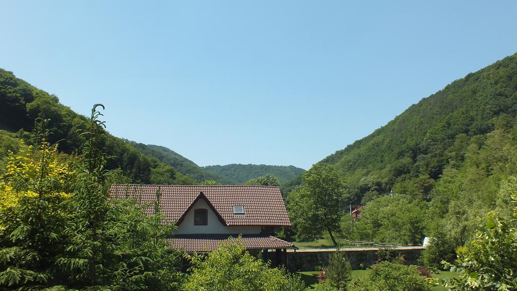 فيلا Casa De Piatra Strungari المظهر الخارجي الصورة